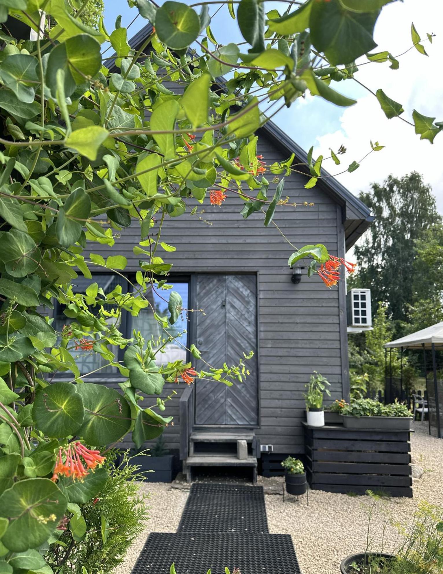 리가 Amazing Little House On An Island With Garden 빌라 외부 사진